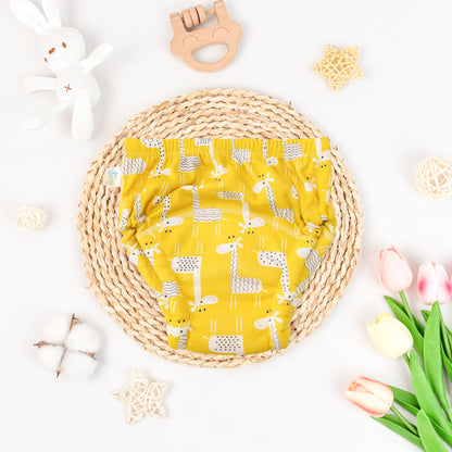 Potty Training Underwear